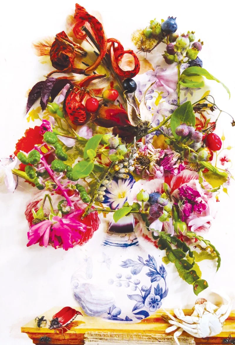  Maria Sibylla Merian,  
Uncovering Spring Flowers in a Chinese Vase, 1680  
2012 
40” By 27.188” 
C-Print   
