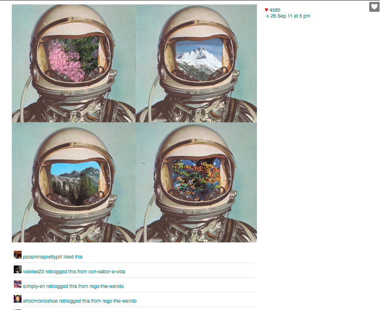  POISON IN A PRETTY PILL LIKE THIS  
2012  
40.839” by 50” 
c-print

    