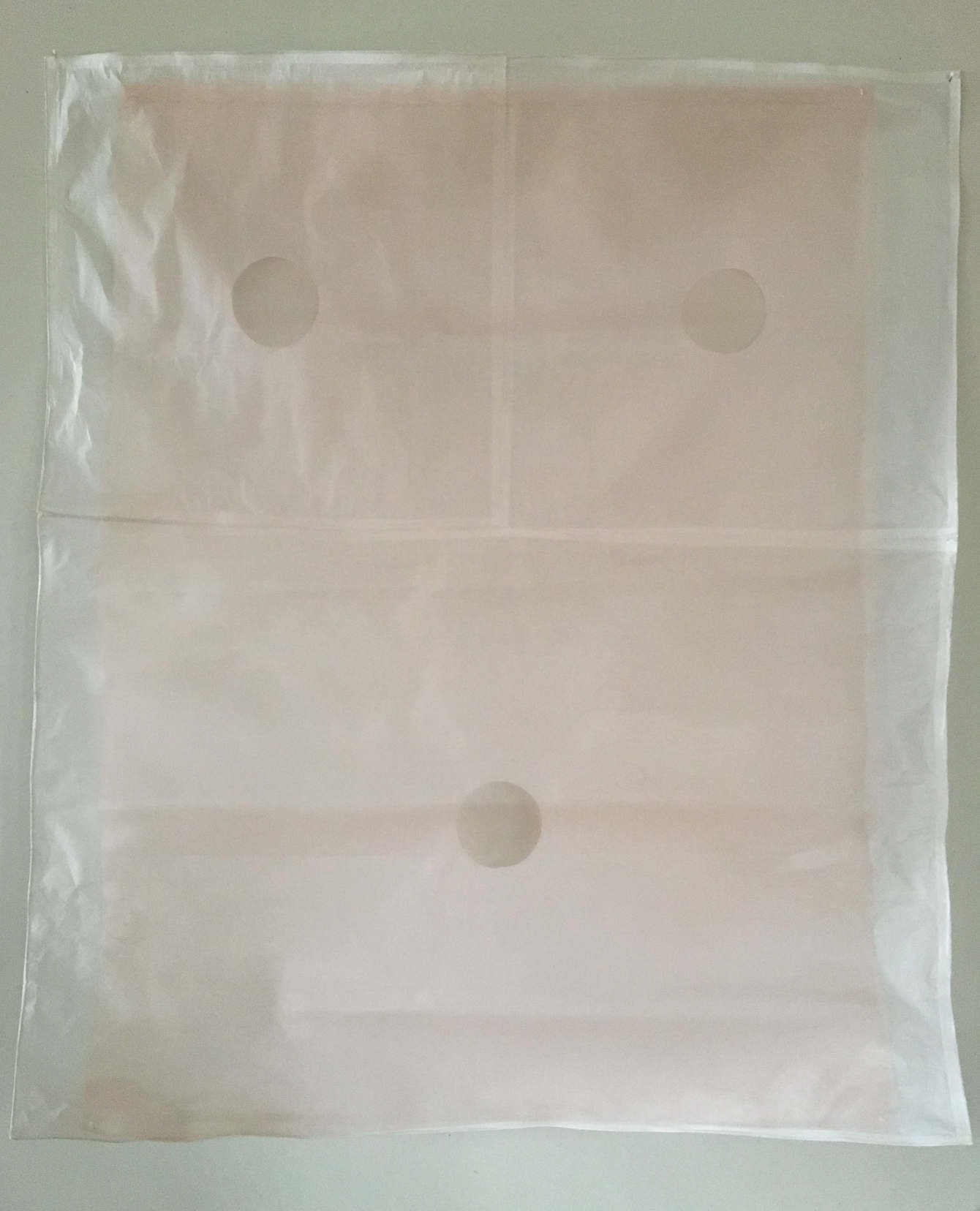 Dream Caused by the Flight of a Bee 
2017 
38" x 33" 
lamp paper, gauze