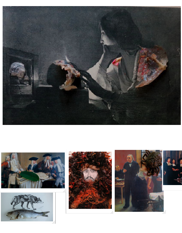 Picture-97-copy.png