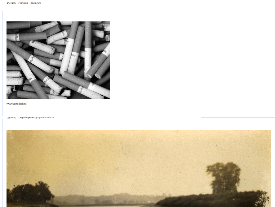  FORWARD BACKWARD  
2012  
37.599” by 50” 
c-print

    