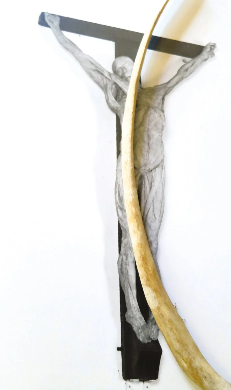  Thomas Banks,  
Uncovering Anatomical Crucifixation, 1801  
2012  
40” By 23.656” 
C-Print   