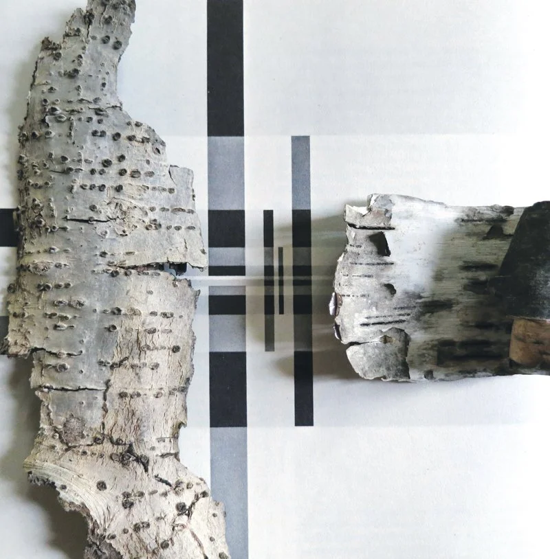  Richard P Lohse,  
Uncovering Four Similar Asymmetric Groups within a Regular System, 1962  
2012  
29.95” By 40”  
C-Print   