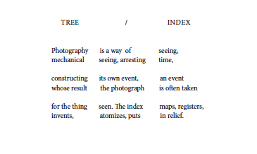 Picture-41-copy.png