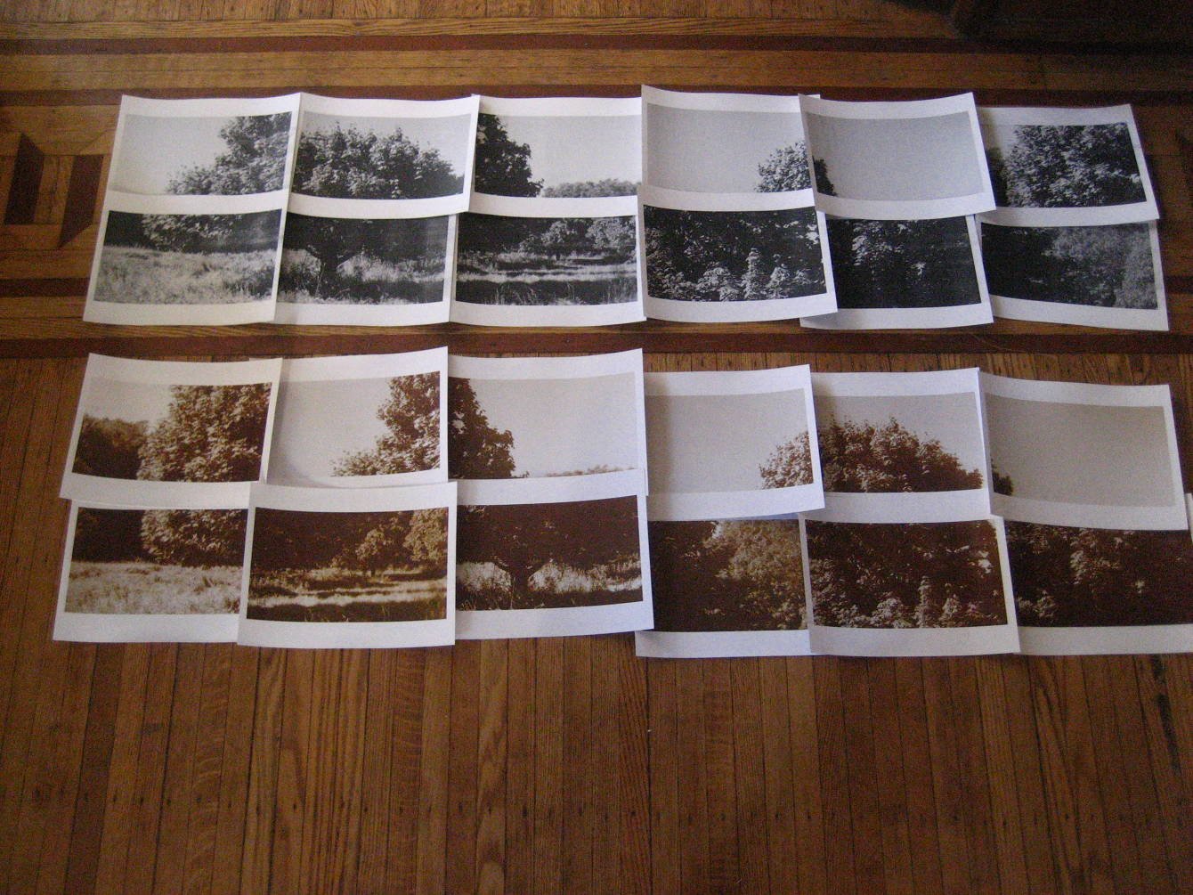 IMG_6247-copy-3_2x.jpeg