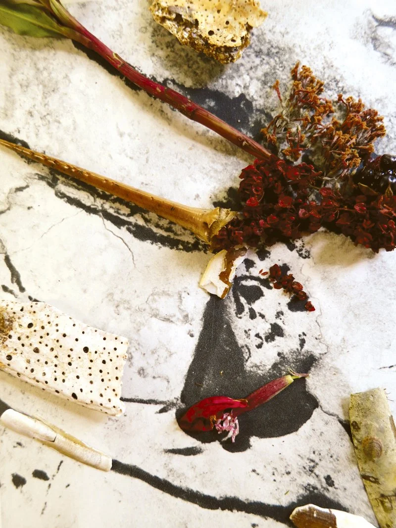  Magdalenian Art or earlier,  
Uncovering Lascaux Bull, 15,000 B.C.E.  
2012  
40” By 29.95”  
C-Print   