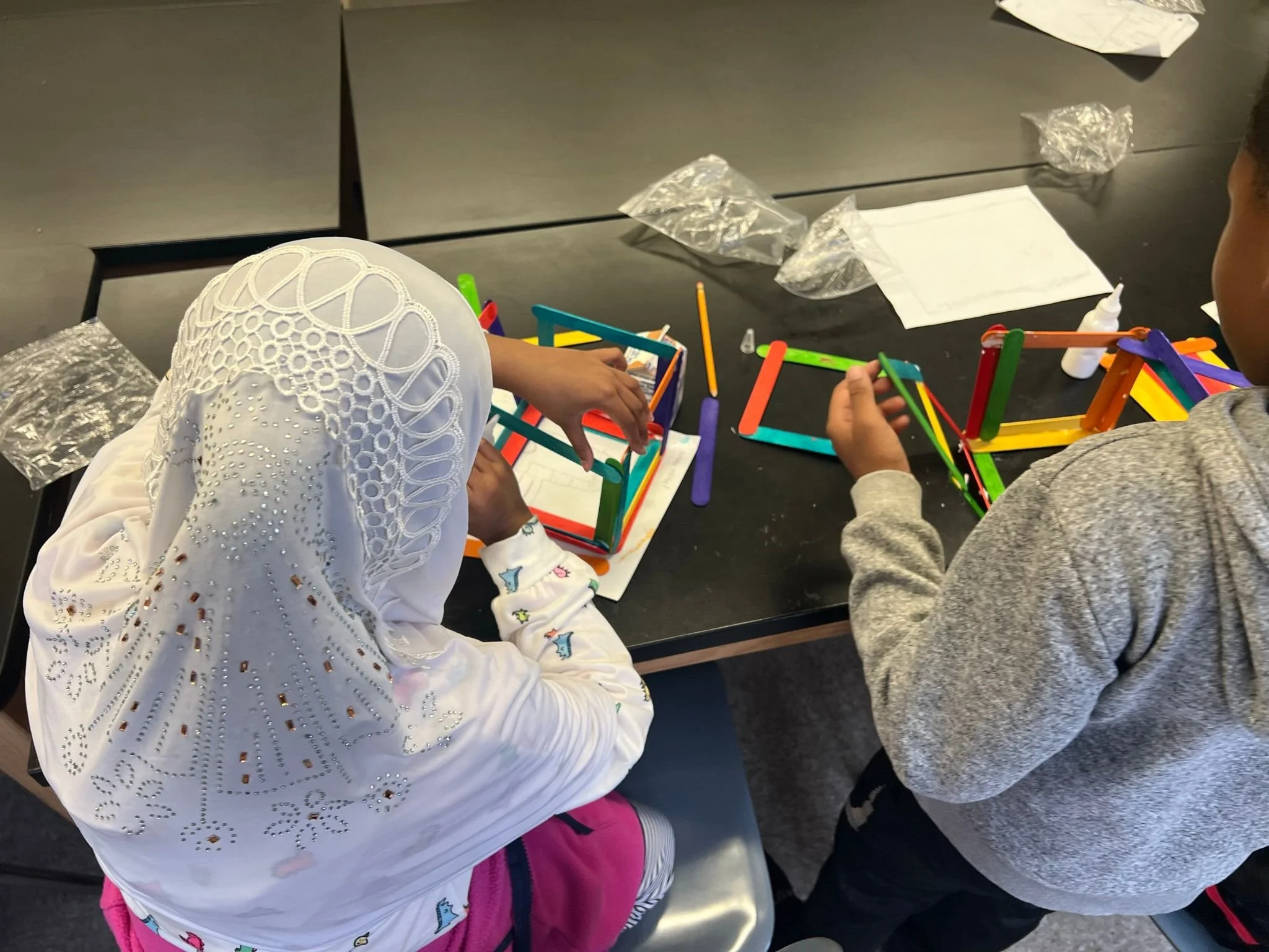 scholar Zineniac program