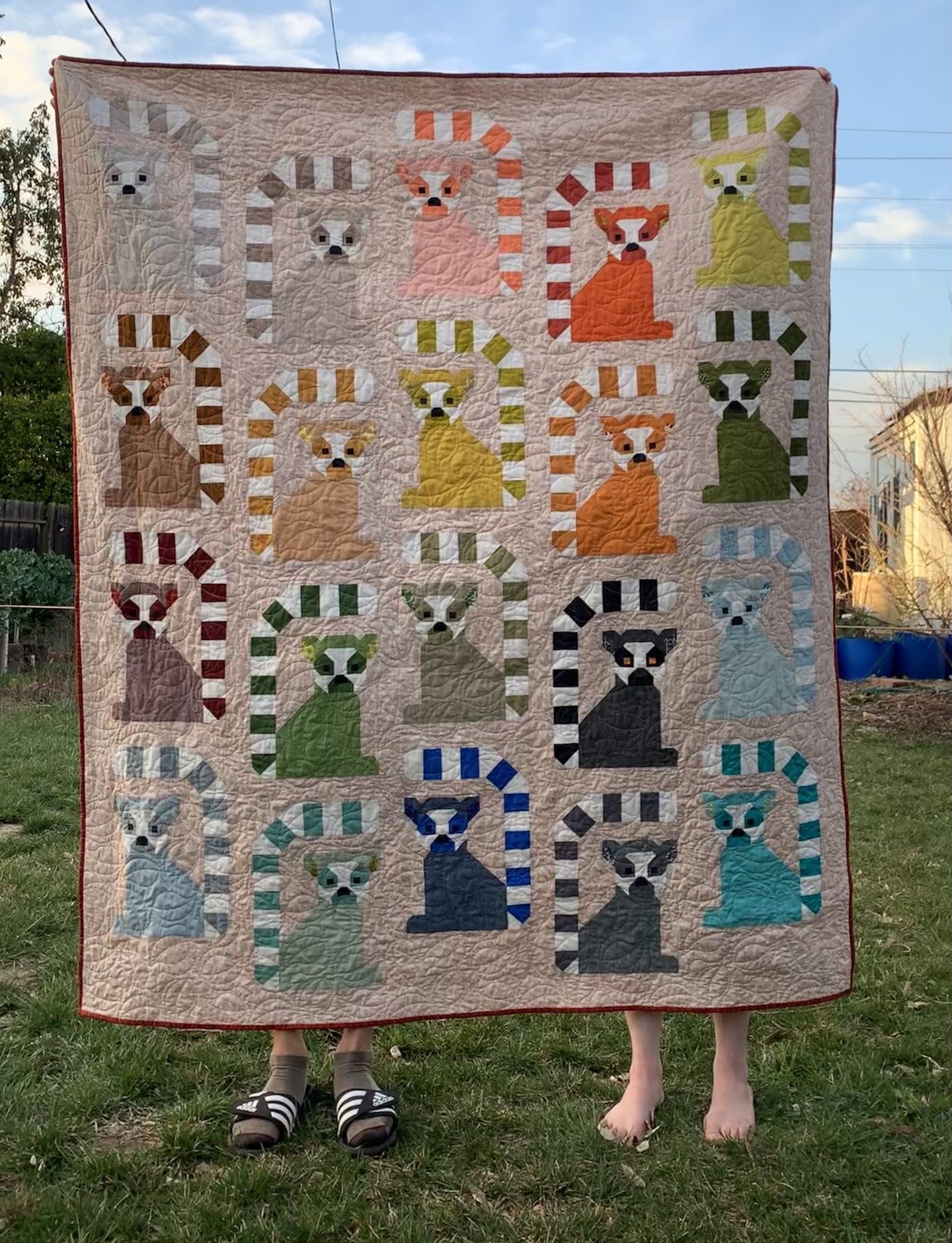 Finished Lana Lemur Quilt (pattern by Elizabeth Hartman) — Ally Kraus