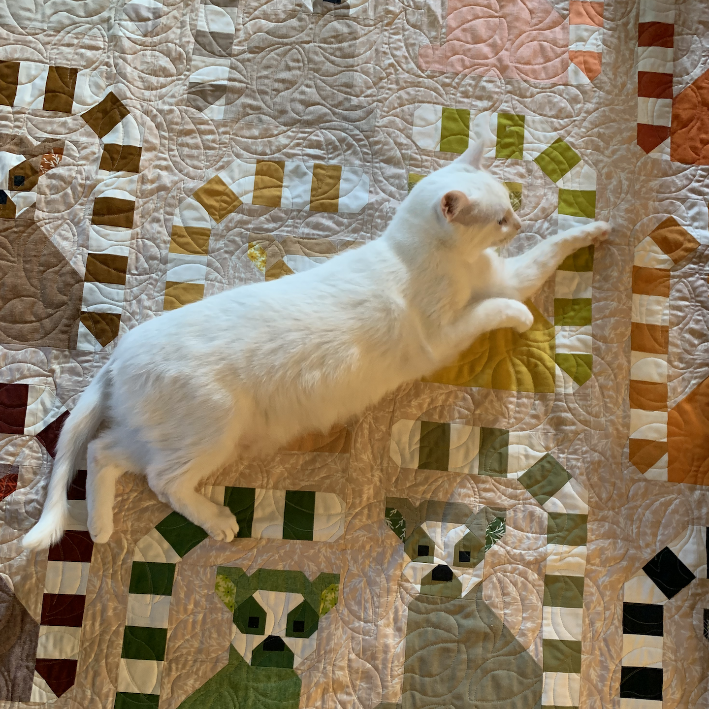 Finished Lana Lemur Quilt (pattern by Elizabeth Hartman) — Ally Kraus