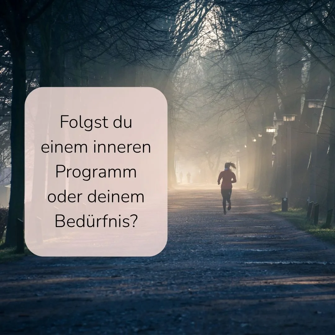 Bedürfnis oder Programmierung? Wie du den Unterschied erkennst!