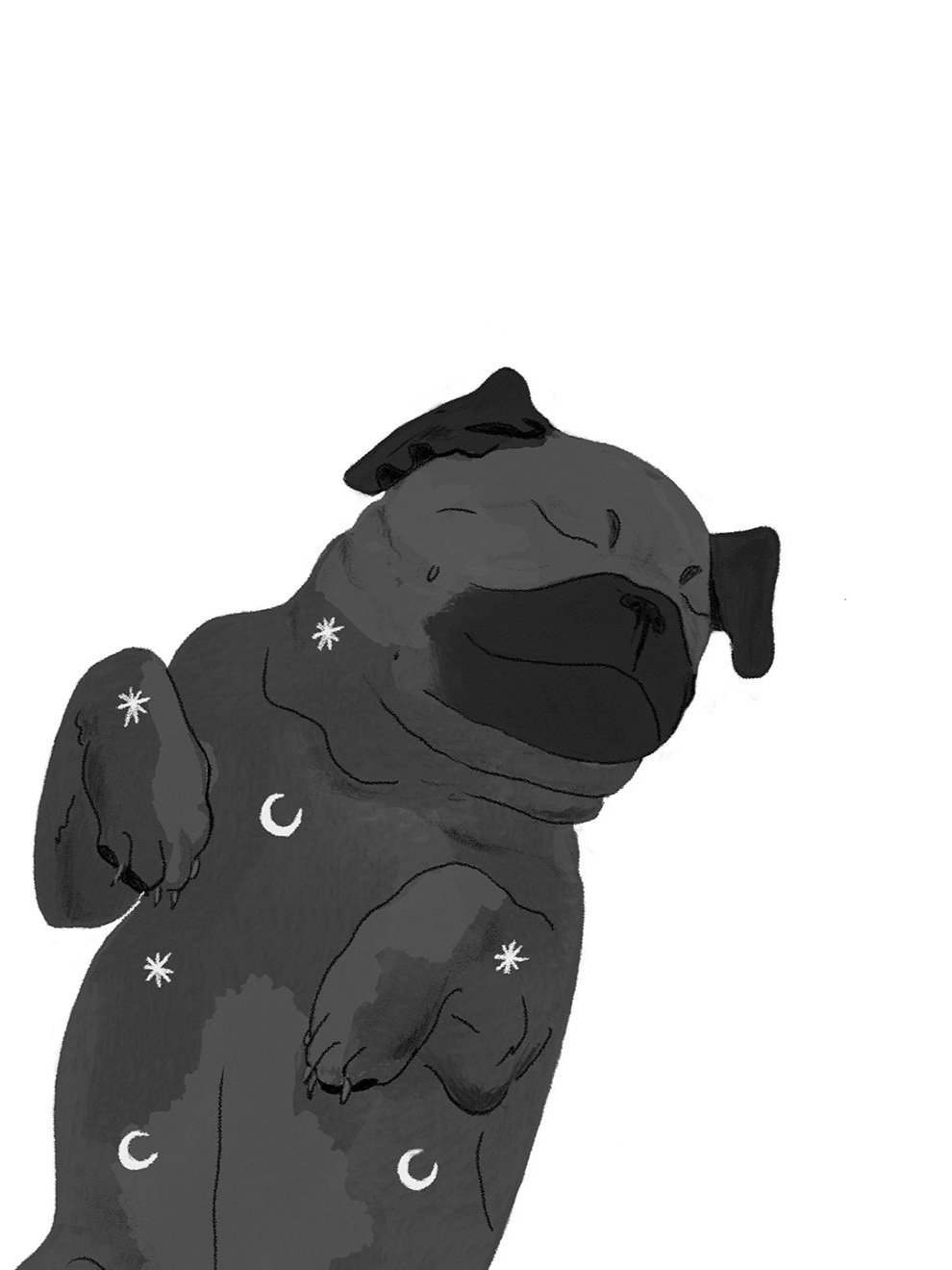Pug+framed+charcoal.jpg