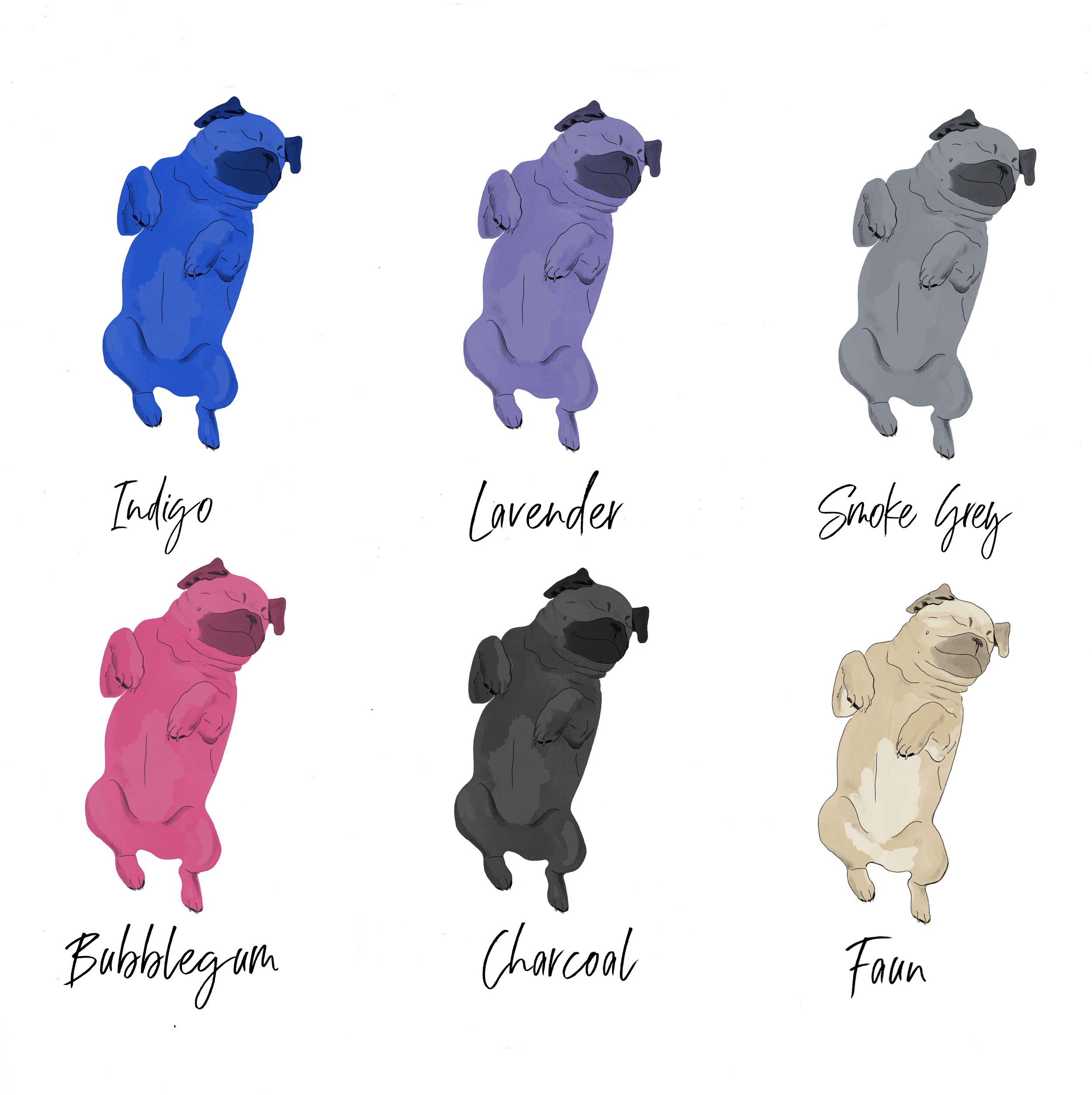Peaceful Pug Colourway key.jpeg