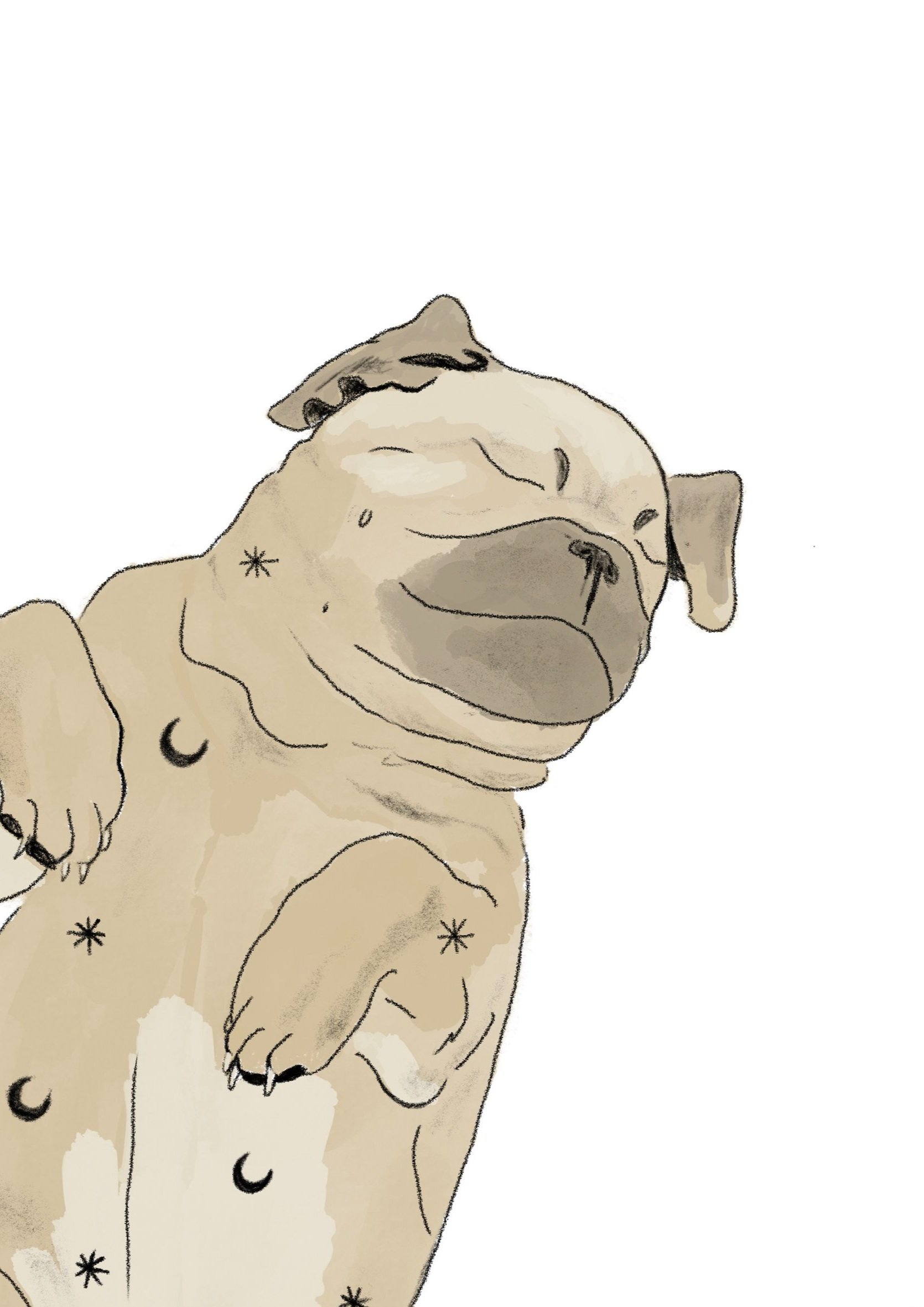 Peaceful+pug+faun+star+and+moon.jpg