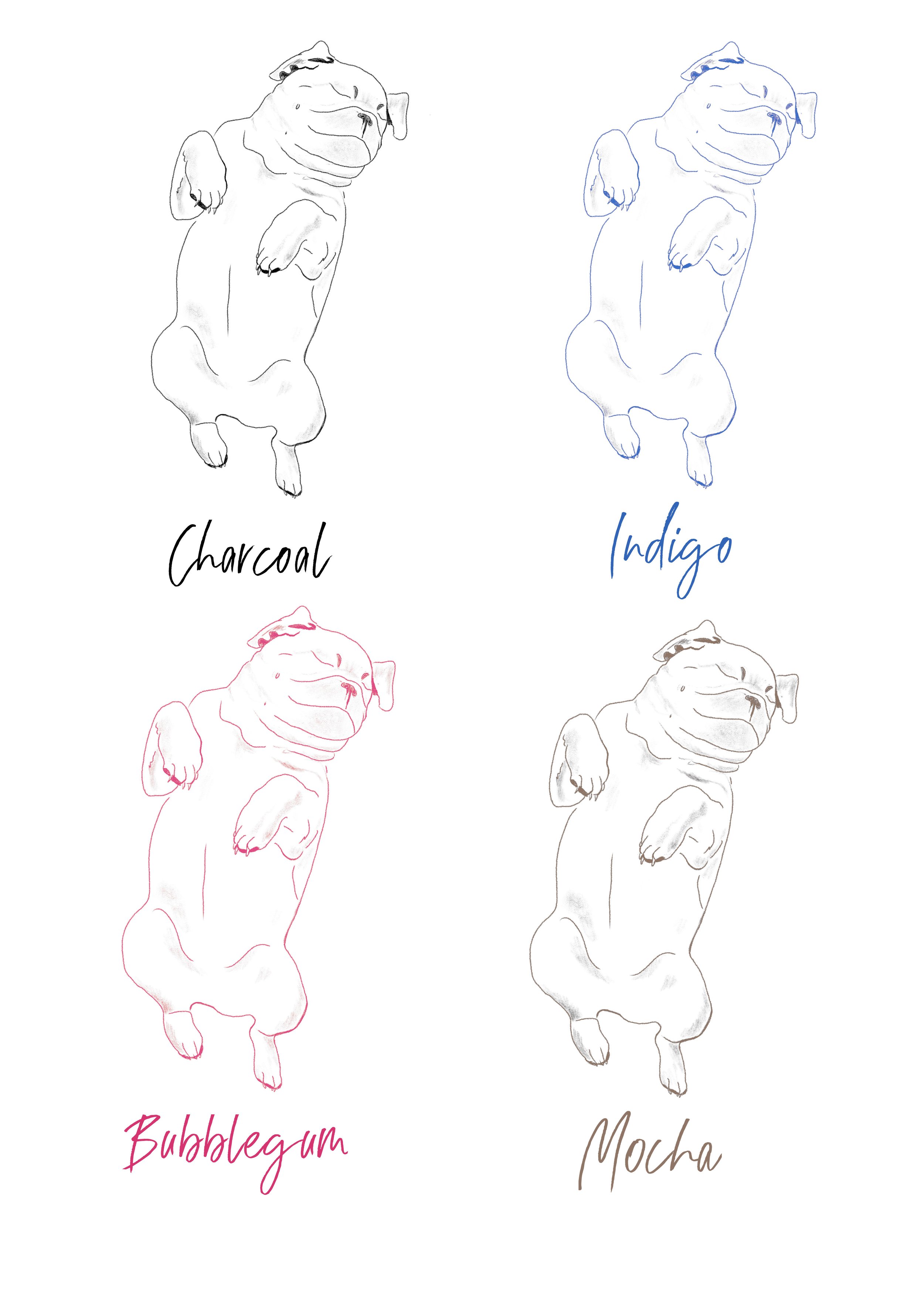 Peaceful Pug SKetch key.jpeg