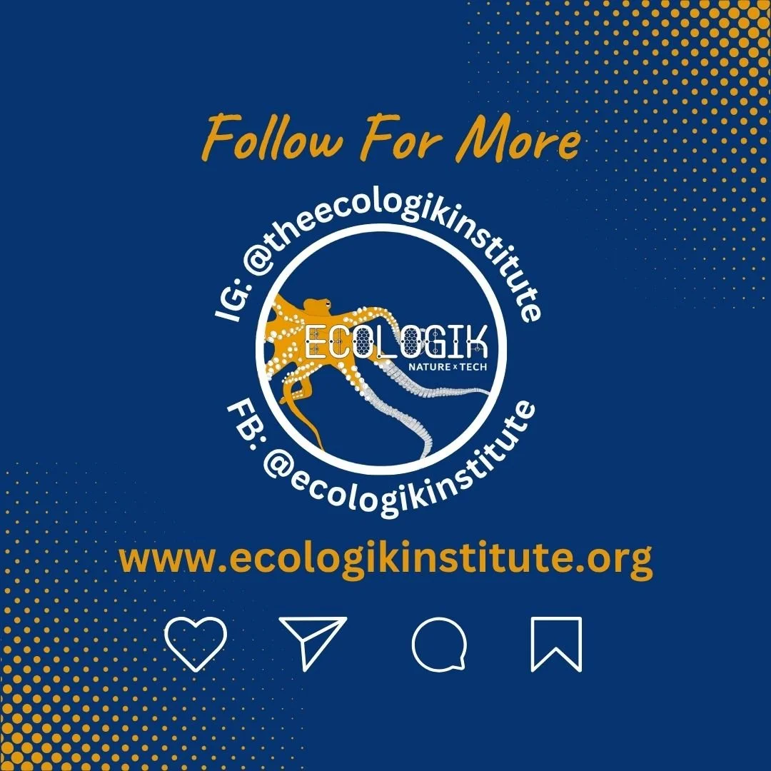 EcoLogik at the Artisan Fair With San Dieguito River Park!
