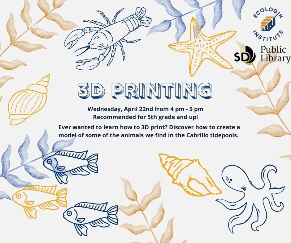3D Printing STEAM WORKSHOP