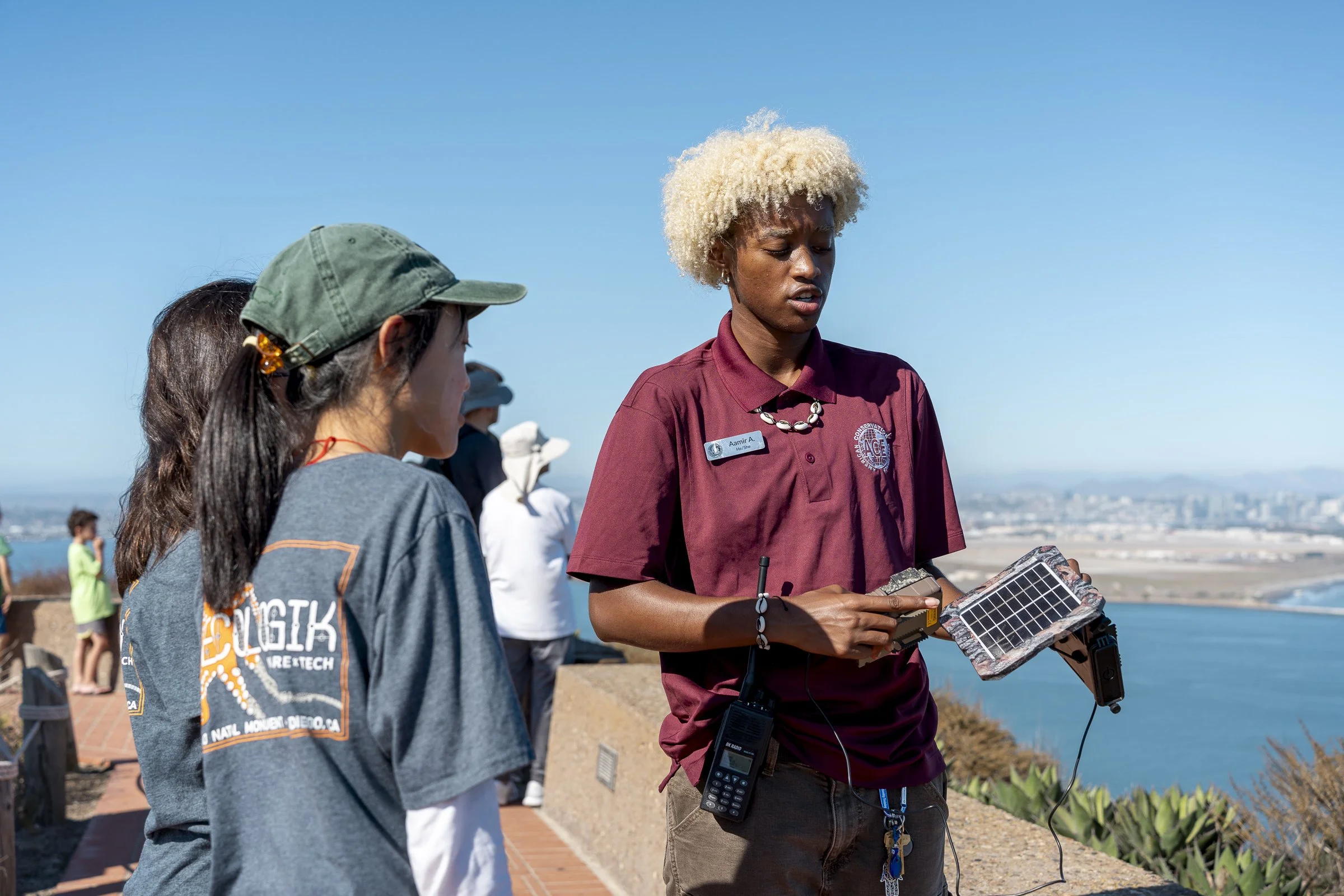 Peer to peer mentoring