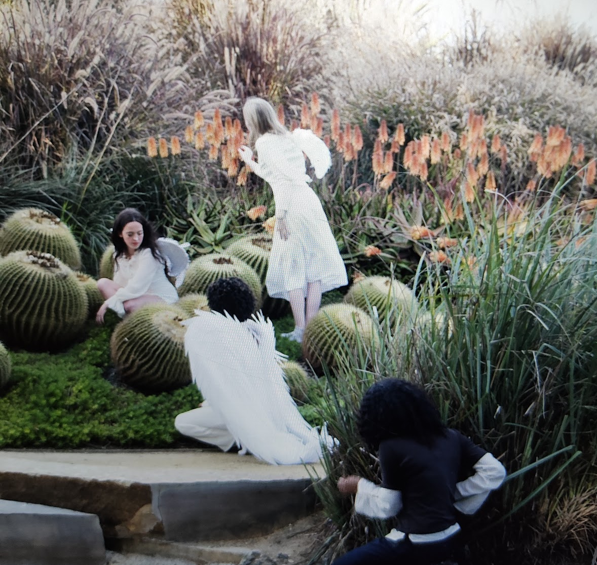 How To Catch An Angel (2024)
