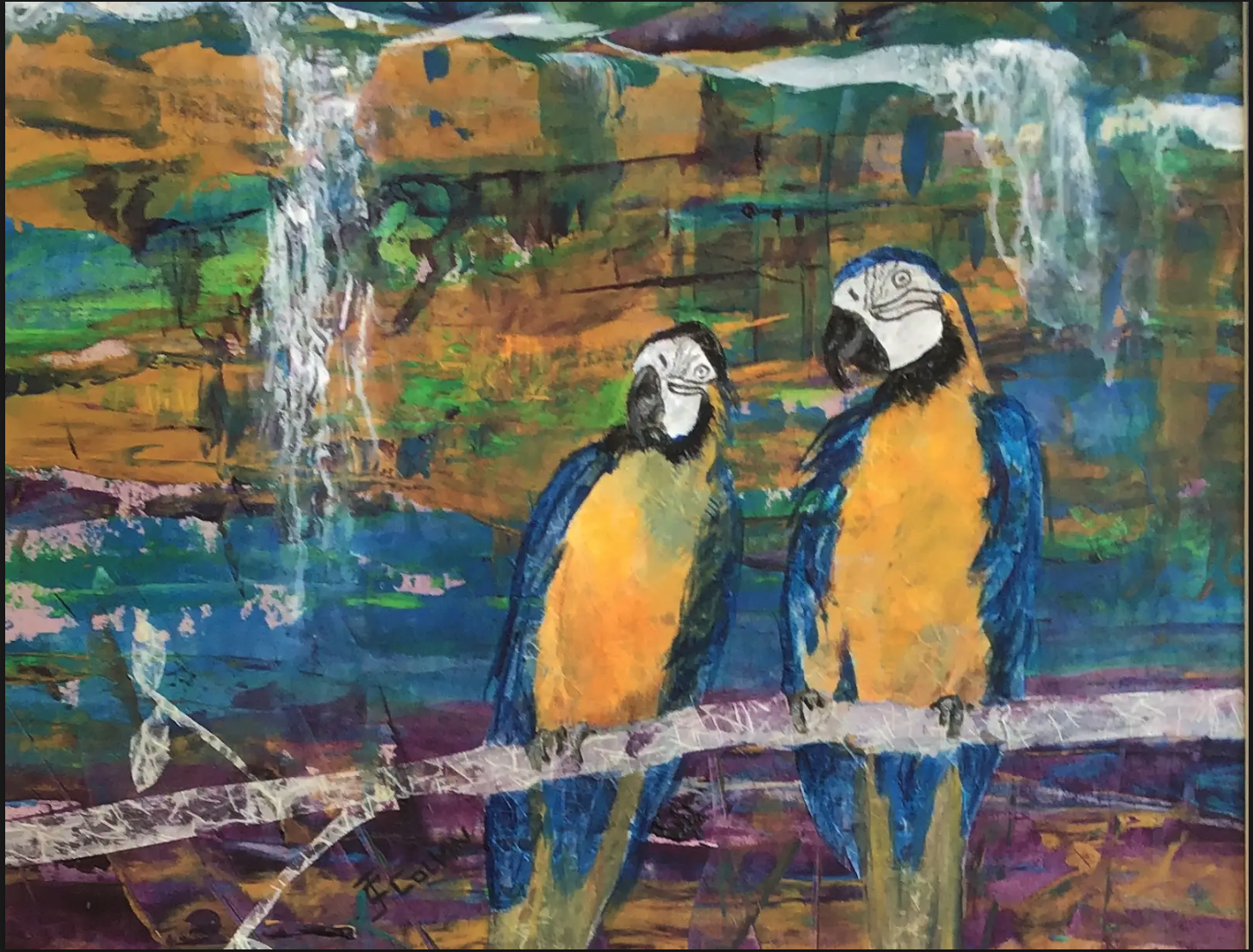 Gold and Blue McCaws
