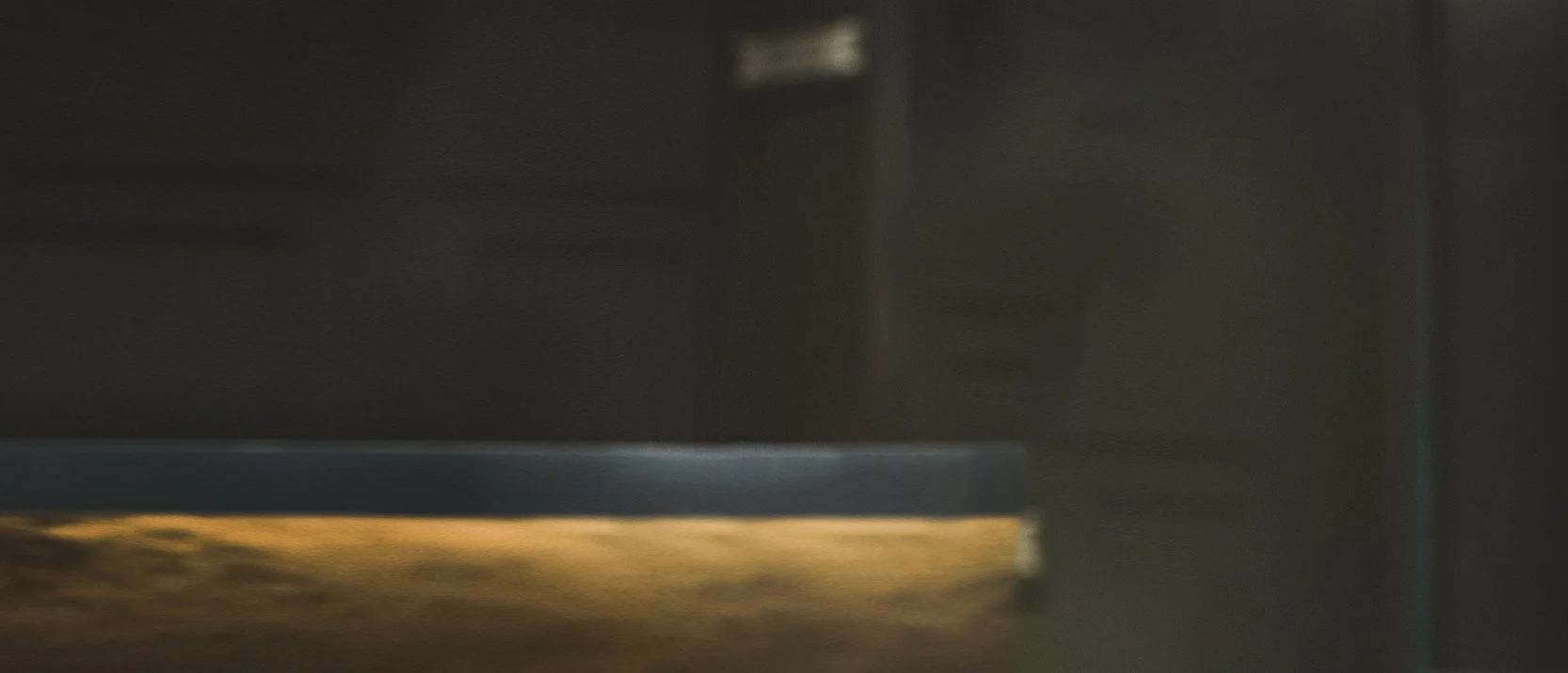 Bark background to support Orlando to tell his benefits of finding his voice