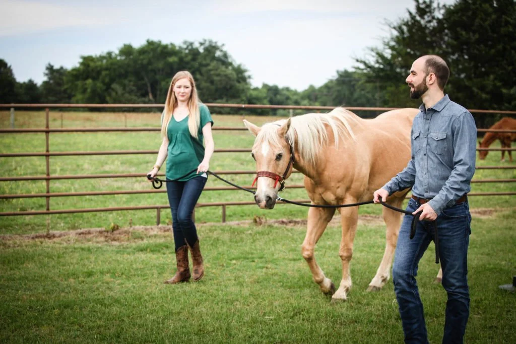 Equine Therapy and Addiction Recovery
