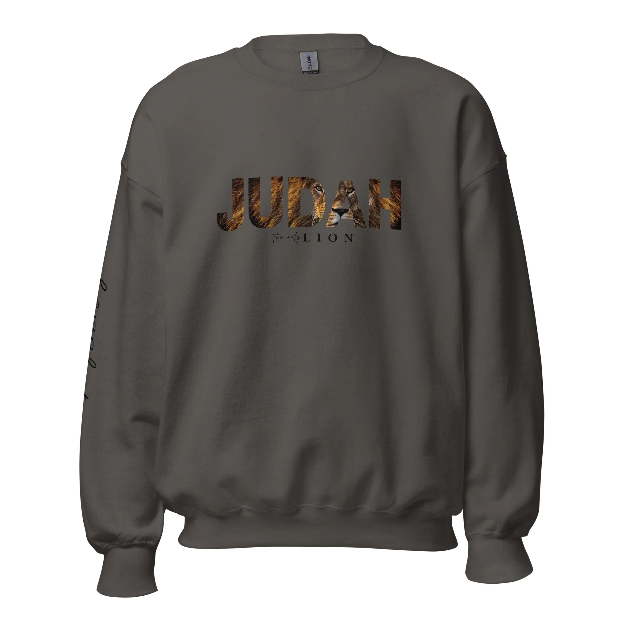 unisex-crew-neck-sweatshirt-charcoal-front-69204046d2938.jpg