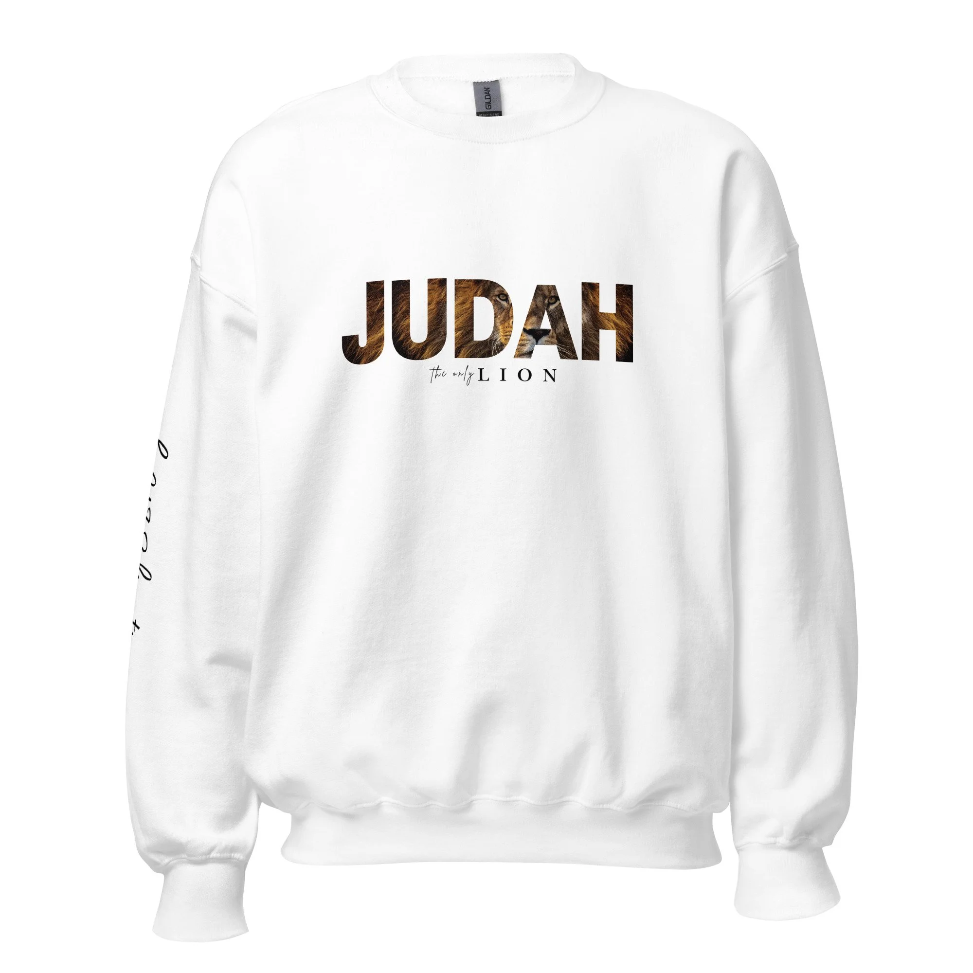 unisex-crew-neck-sweatshirt-white-front-69204046d2d5d.jpg