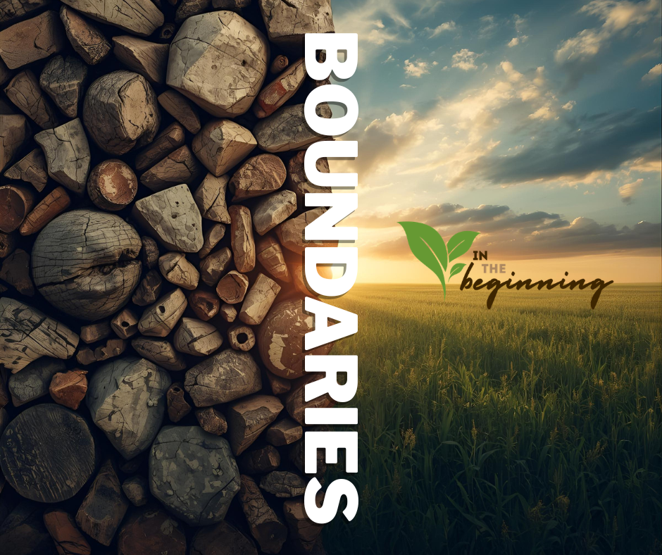 Boundaries in the Beginning: Guarding What God Is Growing