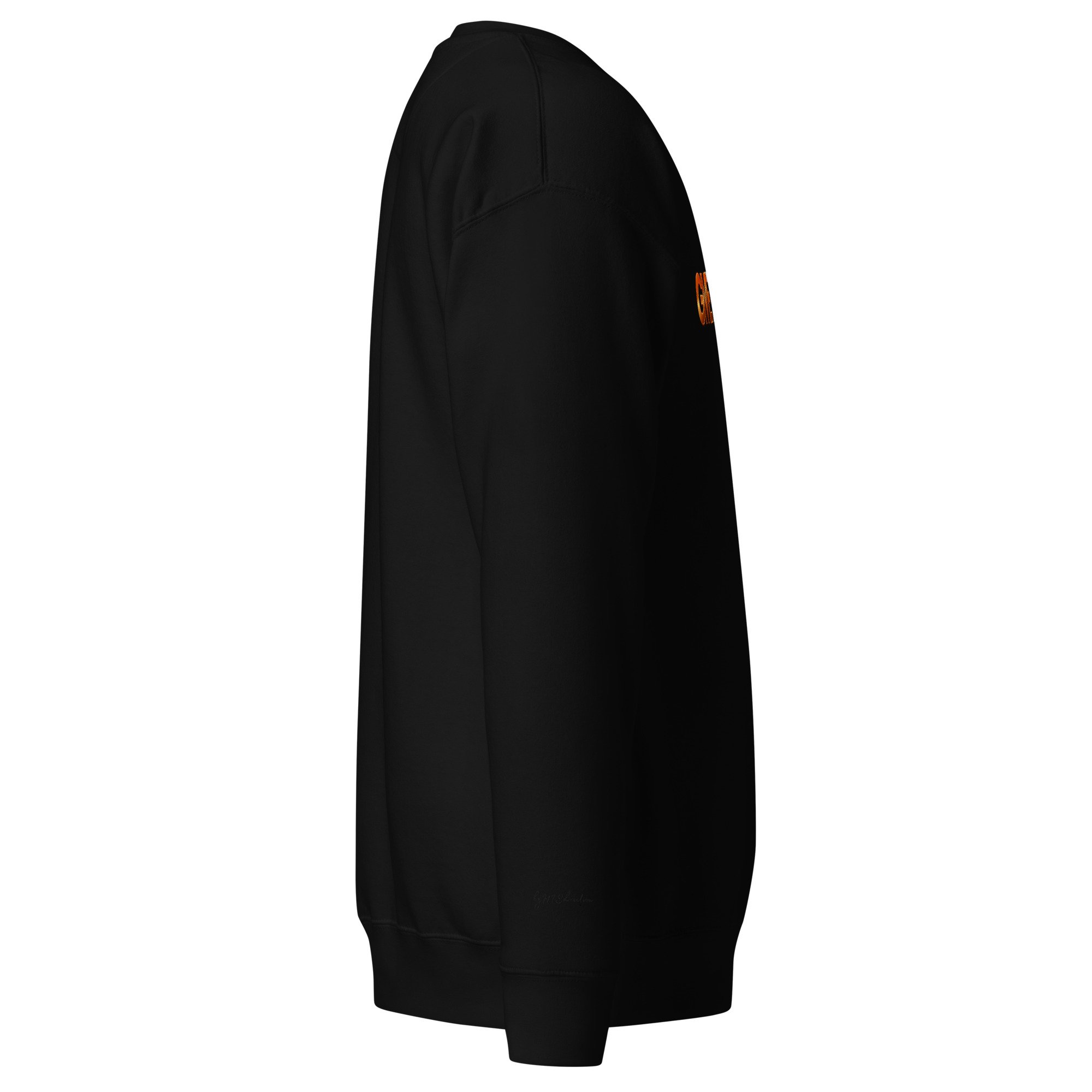 unisex-premium-sweatshirt-black-right-6adae02753c36.jpg
