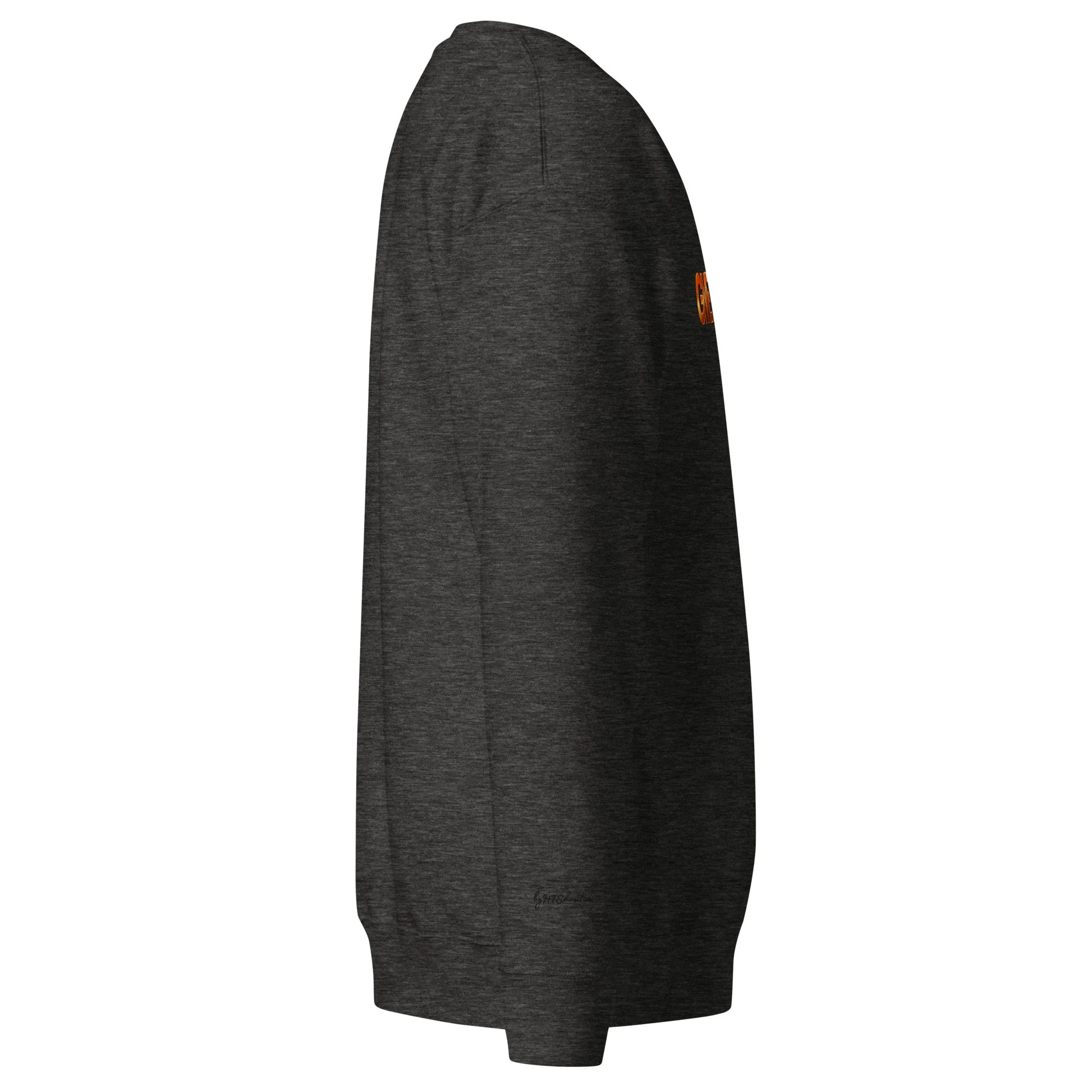 unisex-premium-sweatshirt-charcoal-heather-right-6adae02753cc6.jpg