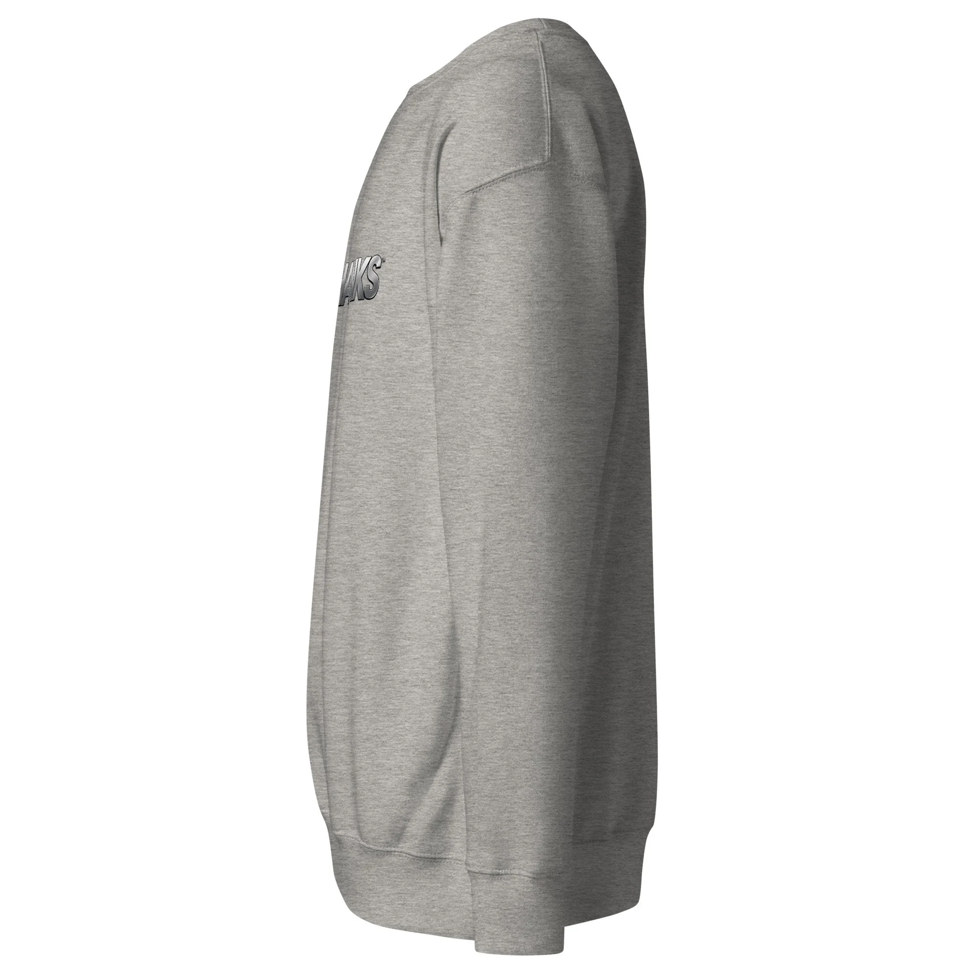 unisex-premium-sweatshirt-carbon-grey-left-6adae0275356f.jpg