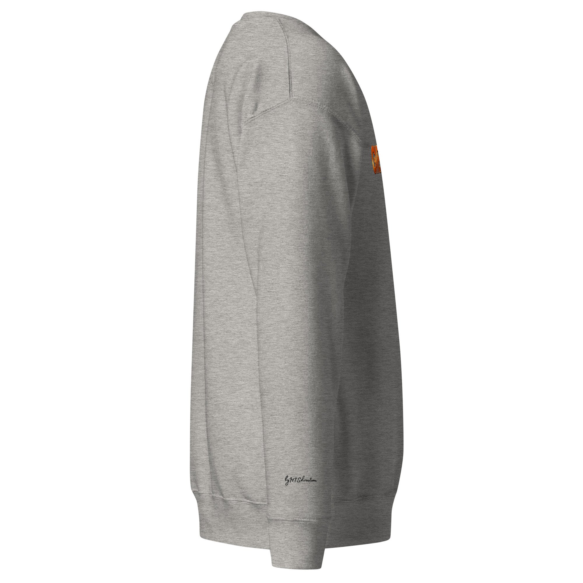 unisex-premium-sweatshirt-carbon-grey-right-6adae02753c87.jpg