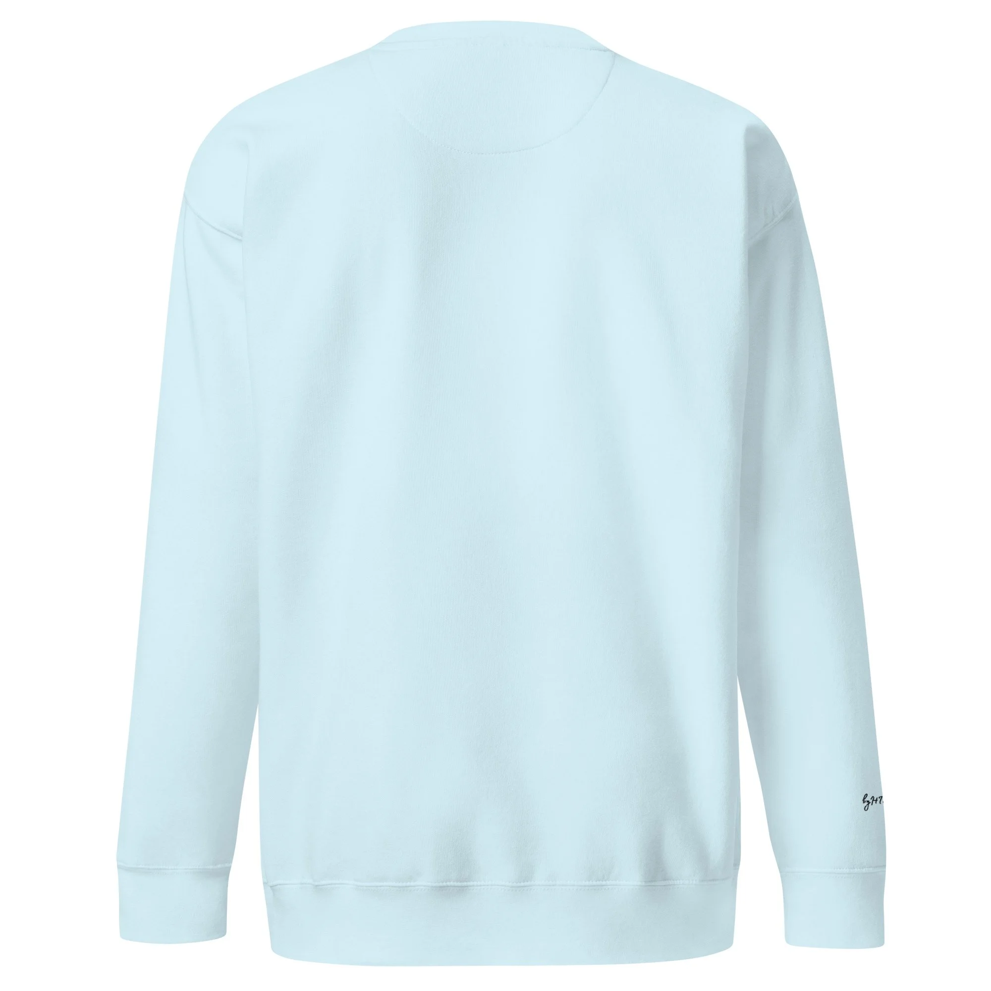 unisex-premium-sweatshirt-sky-blue-back-6adae02752fce.jpg