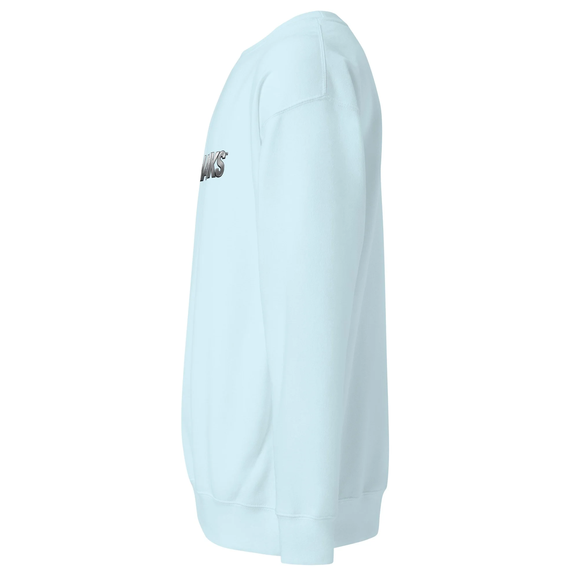 unisex-premium-sweatshirt-sky-blue-left-6adae02753709.jpg