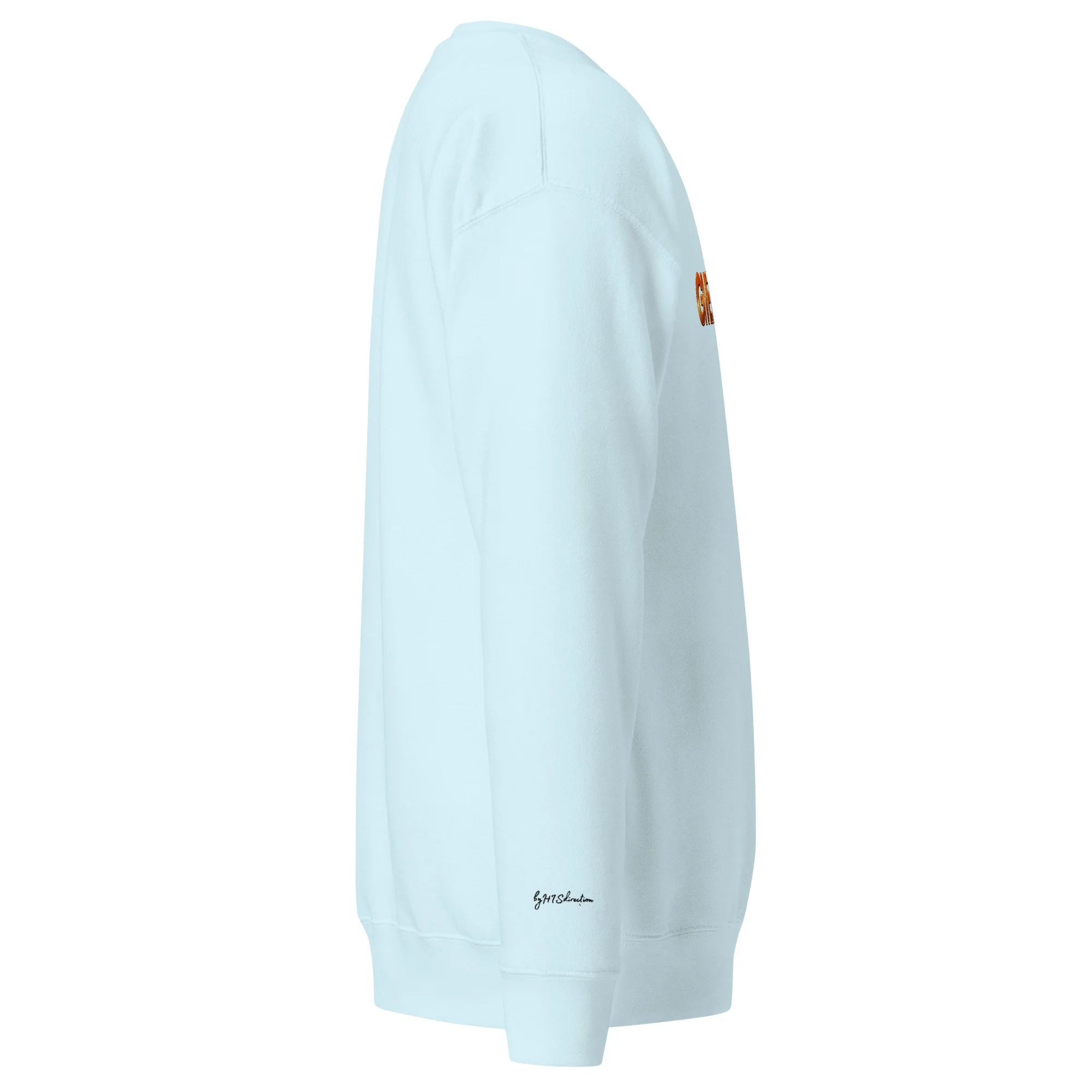 unisex-premium-sweatshirt-sky-blue-right-6adae02753e20.jpg