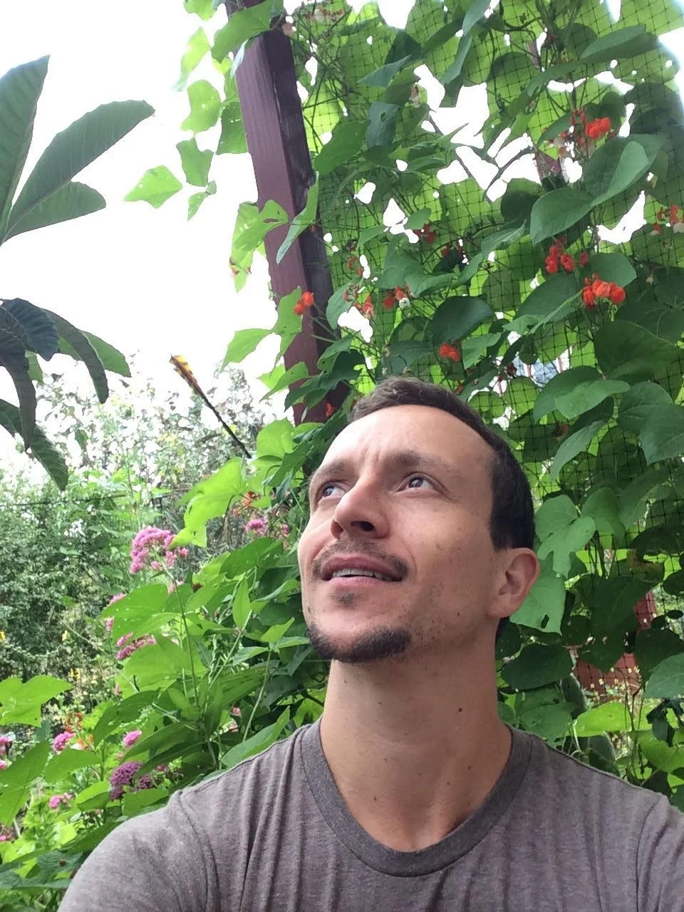 Man smiling upward with greenery behind