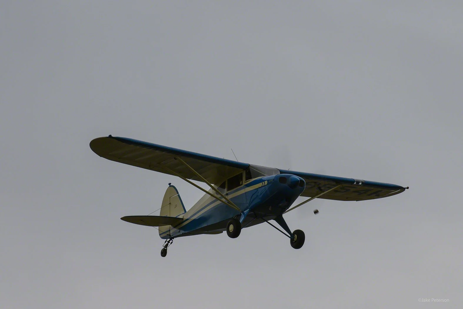 AVTFFFT8727.jpg