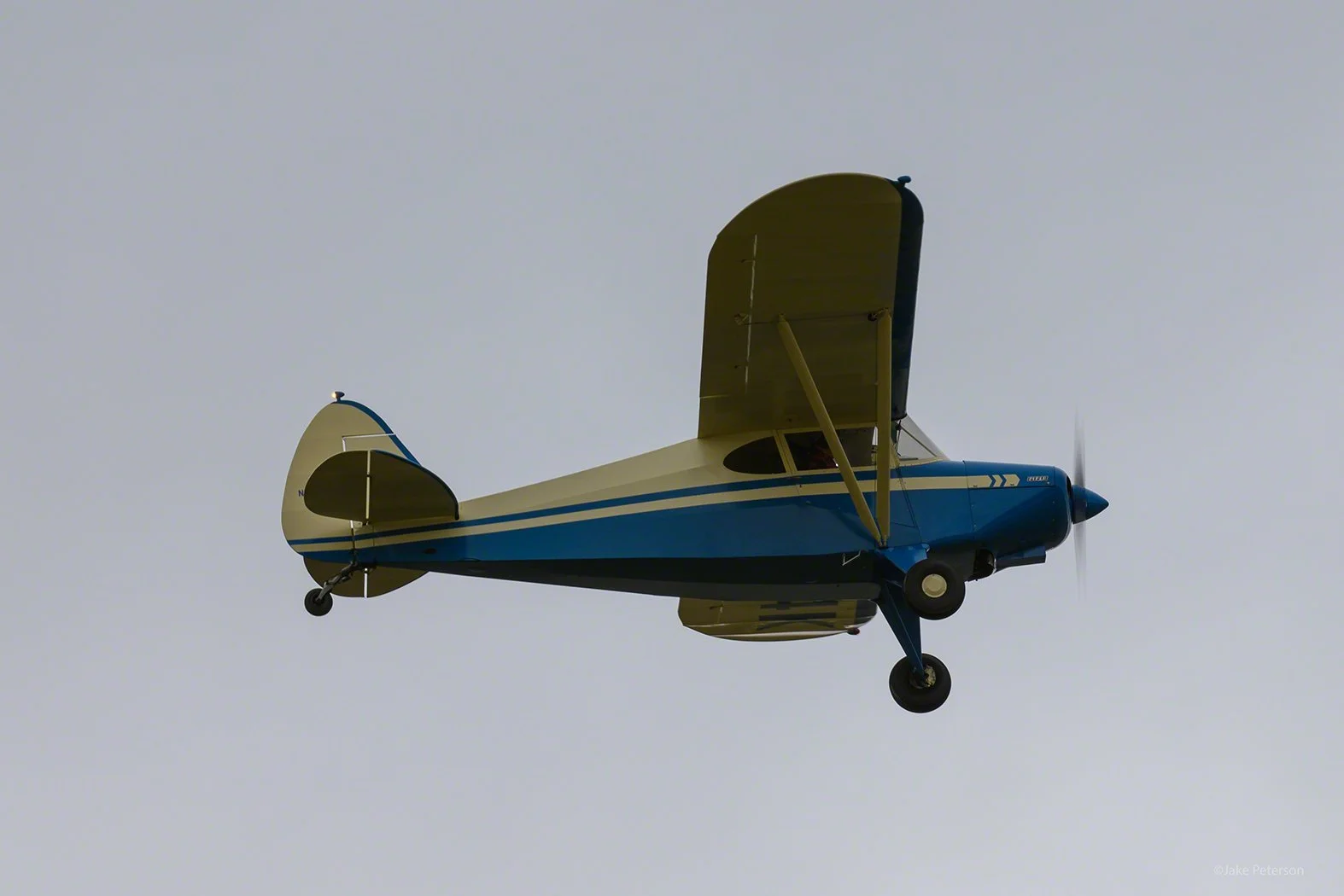AVTFFFT8730.jpg
