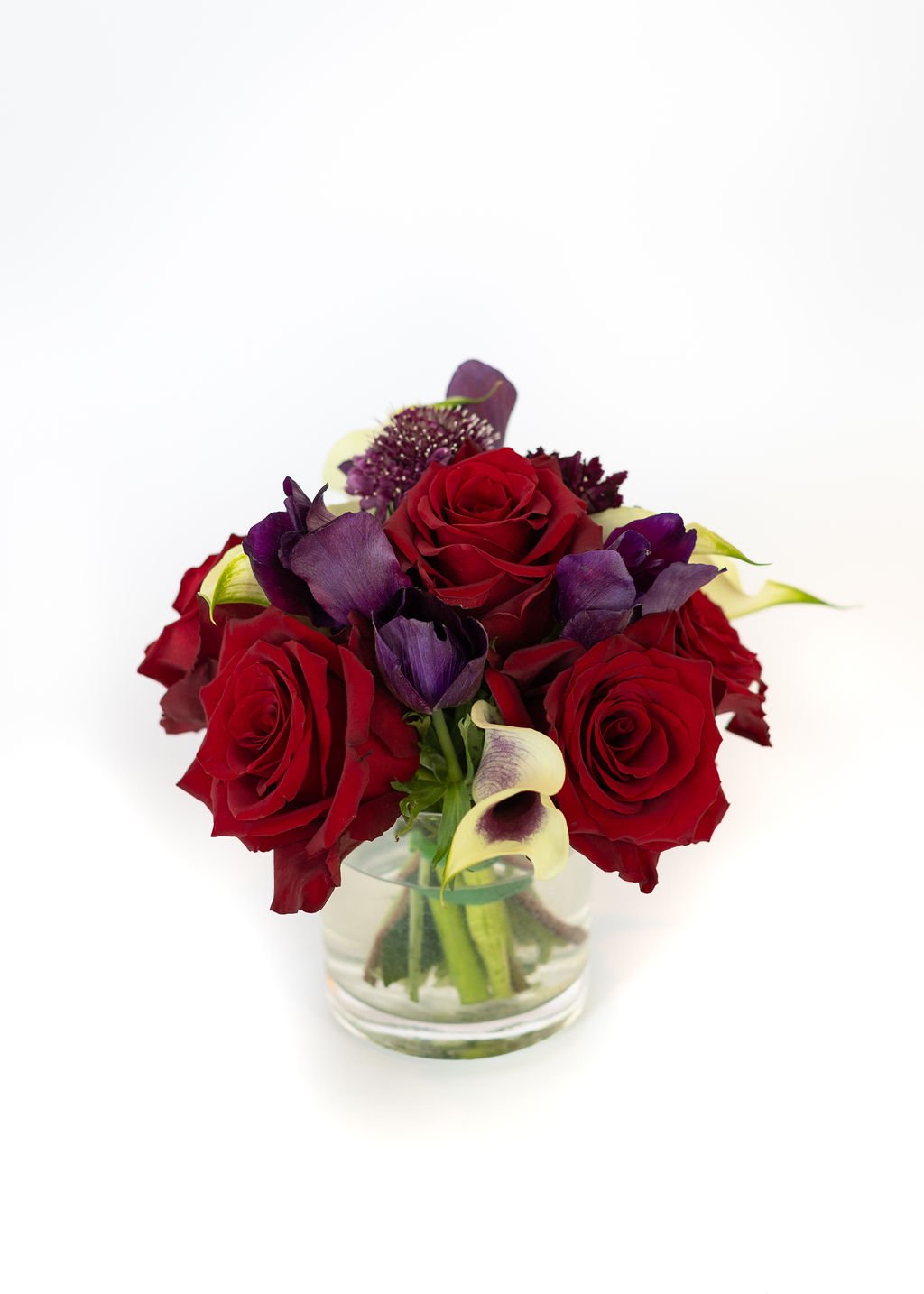 MPS_0276.jpg