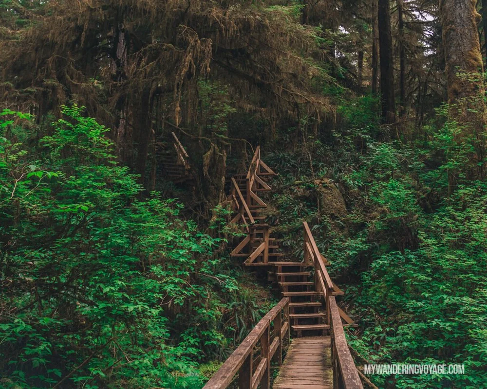 Unforgettable 5-day Vancouver Island Road Trip itinerary | My Wandering ...