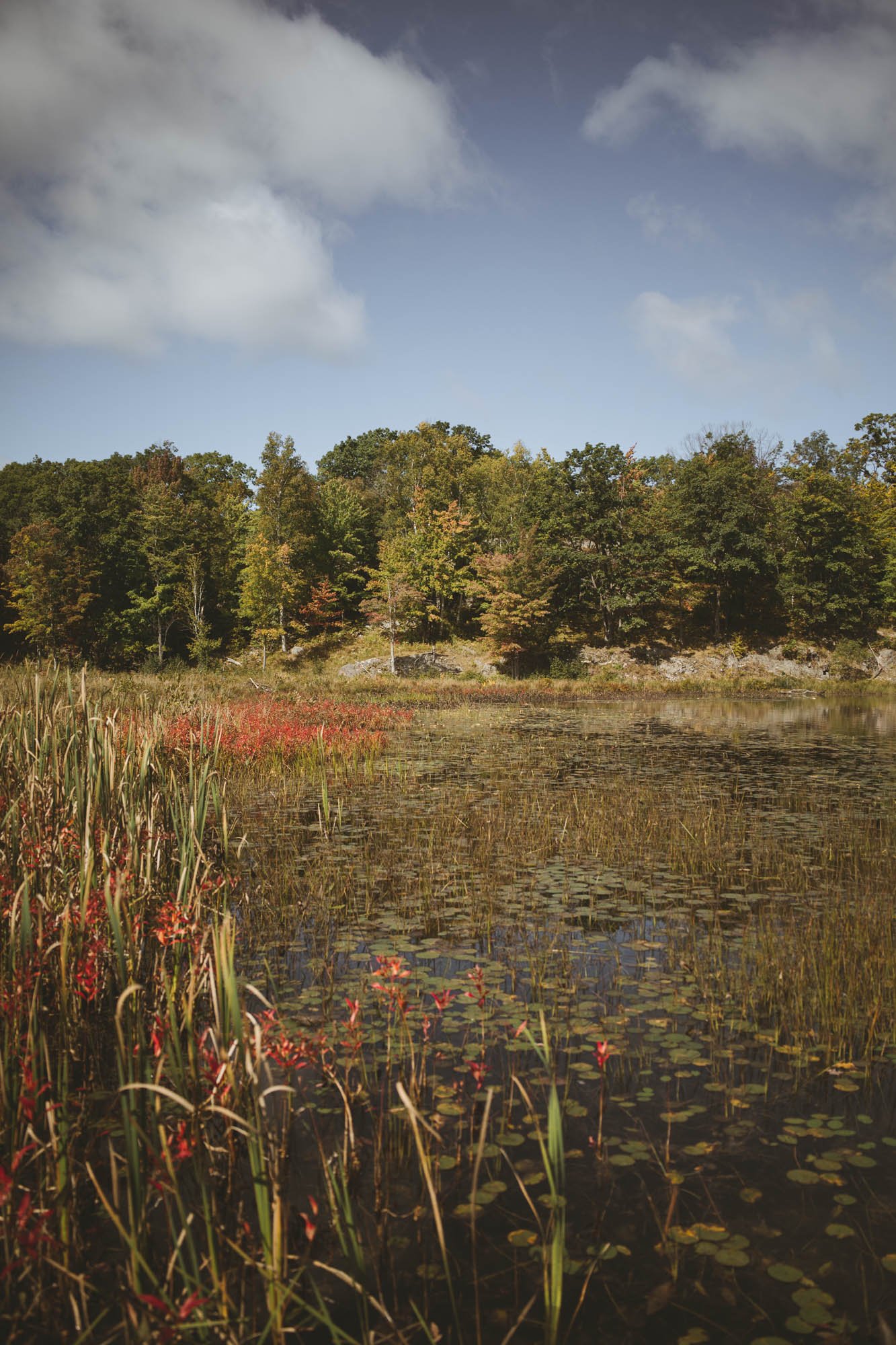 frontenac-web-09.jpg