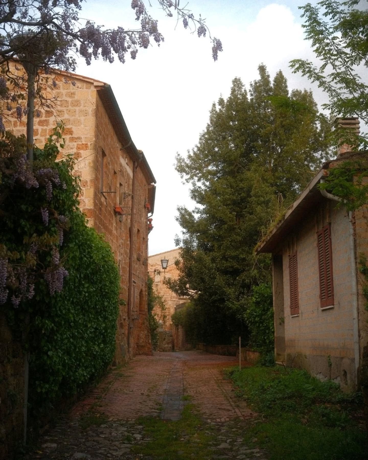 I think my favourite of the four Tuscan towns I visited was Sovana.

We ended up here by chance, passing it on the way back to our agriturismo. After a rainy day, it was still misty, but the sun was finally peeking out, which gave the almost deserted