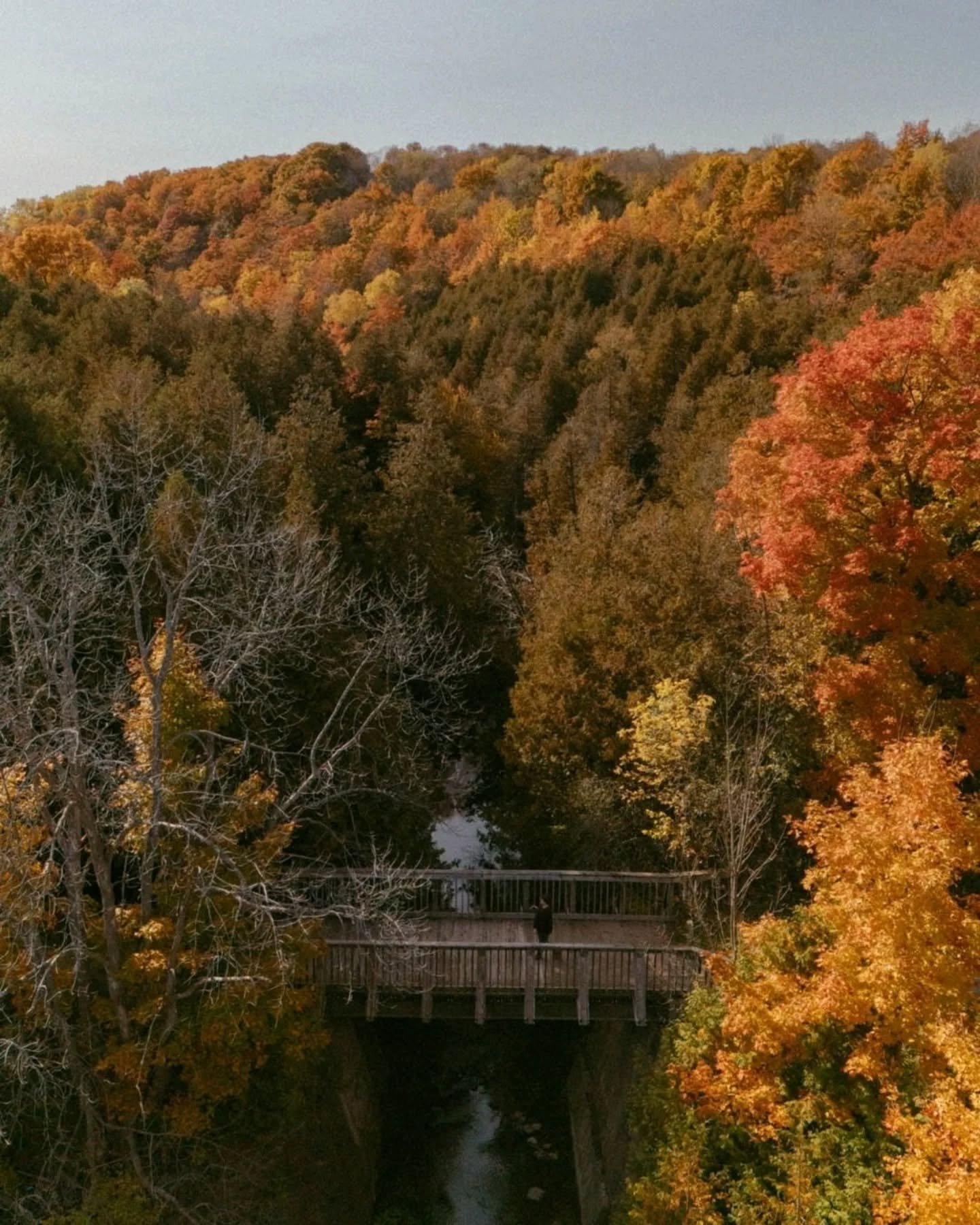 Just a little fall drone dump. It was a very yellow fall. 🍂🥧🎃🕯️🦉

#FallColours #VisitGrey#FallInOntario #autumnvibes #autumnvibes #autumnmagic #slowtravel #hellofrom #ontariotravel #ShotFromAbove

Fall vibes | Fall in Ontario | Ontario Fall | co