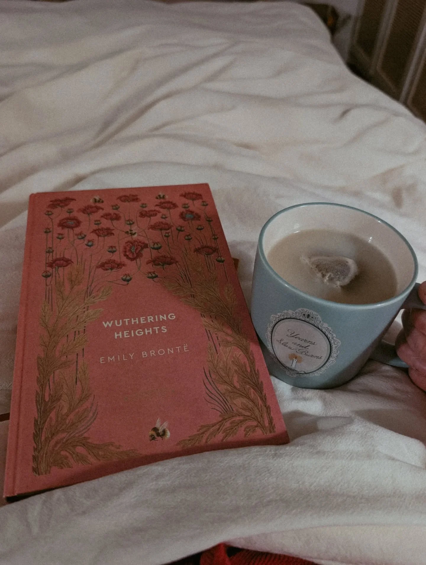 January 🫶

Mostly filled with snowstorms and reading. 

#photodump #readingtime #cozymoments