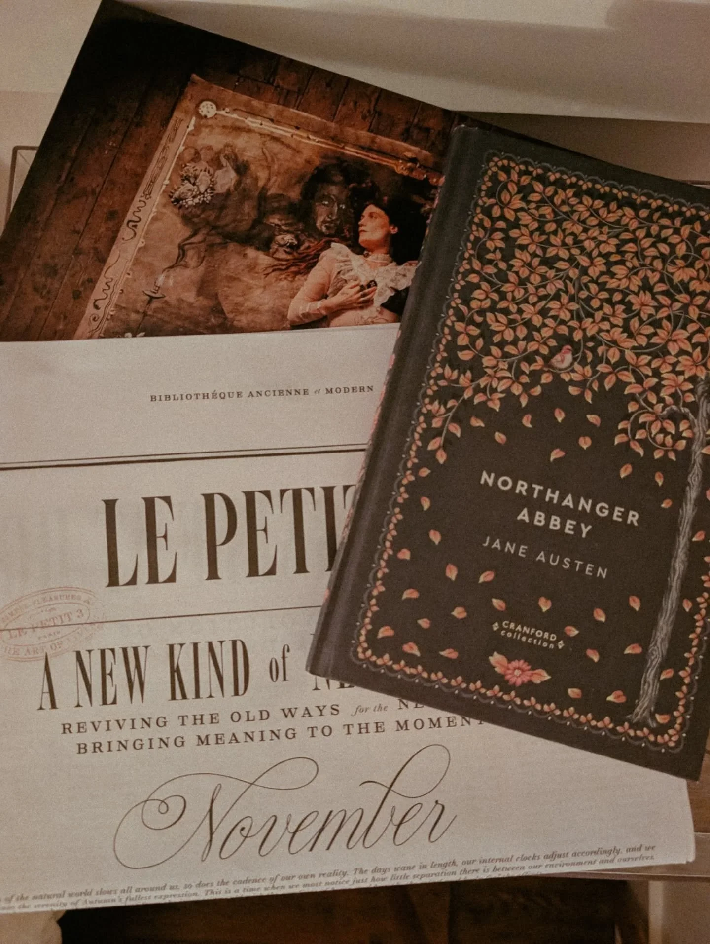 November is for introspection. November is for soup and the smell of the first snow. November is for gothic classics and substack essays. November is for bookstores, crafting and evenings by the fire. 

November is for change and for tending your hea