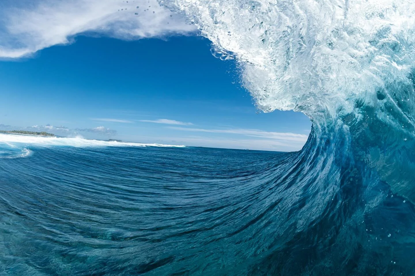The view that dreams are made of. Photog: @liquidbarrel