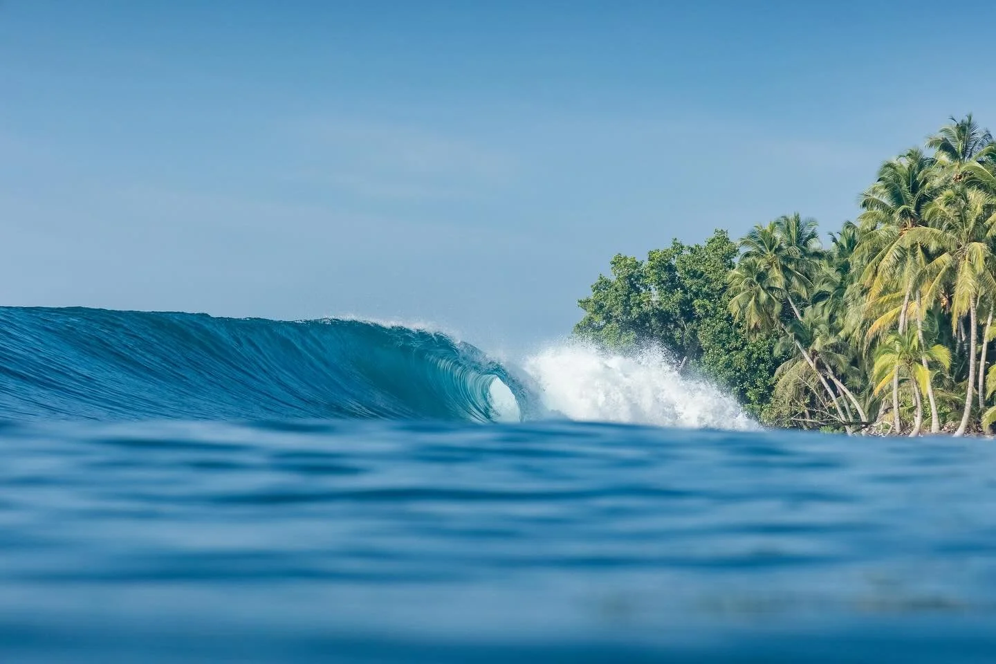The best sight on the paddle back out. Photog: @liquidbarrel
