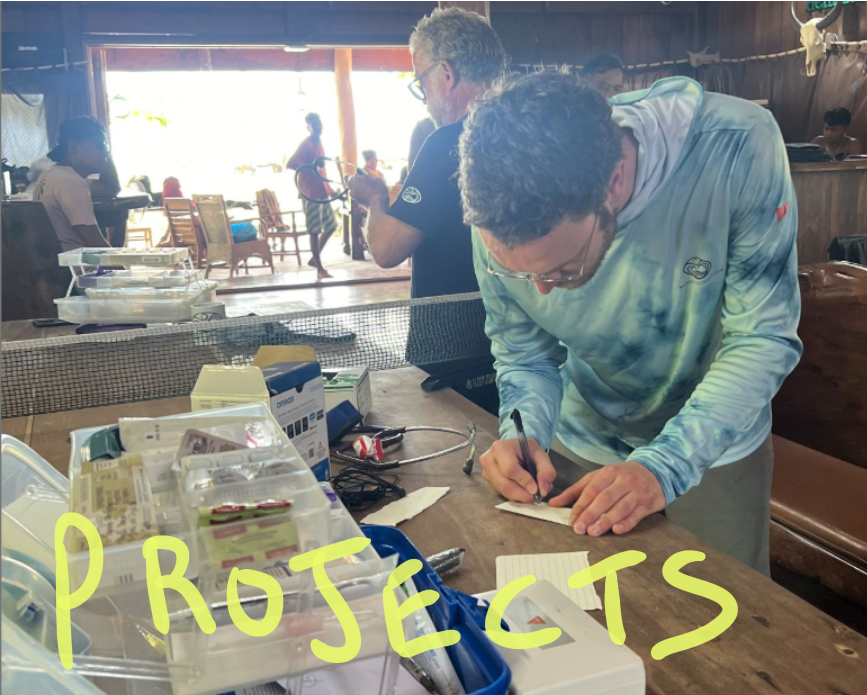 A doctor in a sun-short writes on a notepad at a table with medical supplies, with other people in the background inside an improvised clinic.