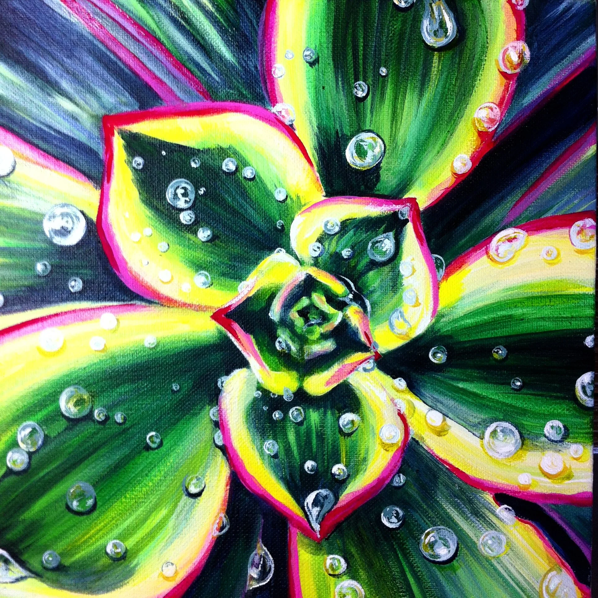 Love Moore Arts-Drops on Echiveria.JPG