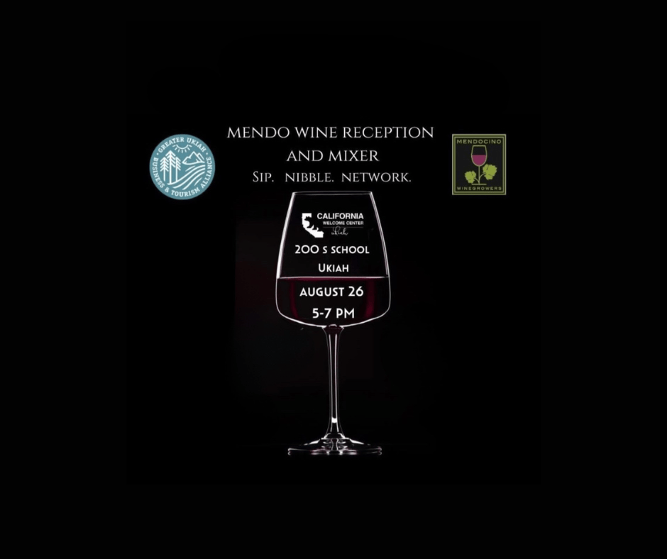 Mendo Wine Mixer